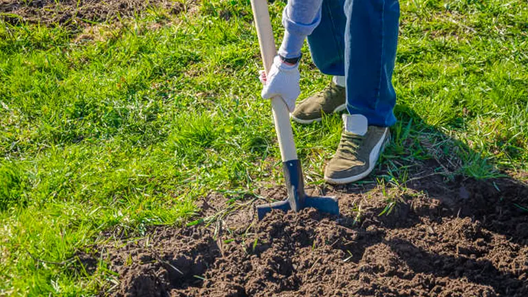 A person digging into soil with a shovel on a sunny day, preparing the ground for planting in a green field.