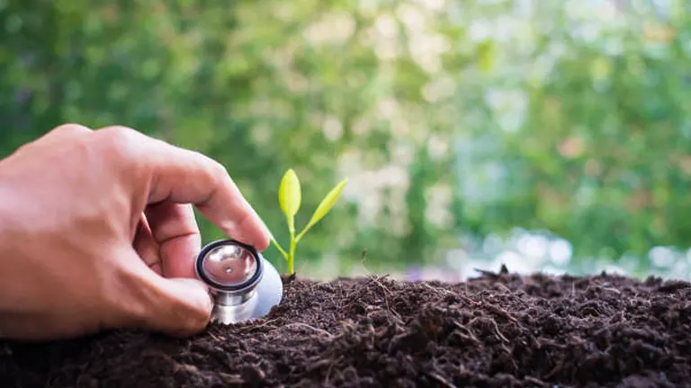A hand holding a stethoscope on top of soil with a small green plant sprouting, symbolizing the care and monitoring of plant health.