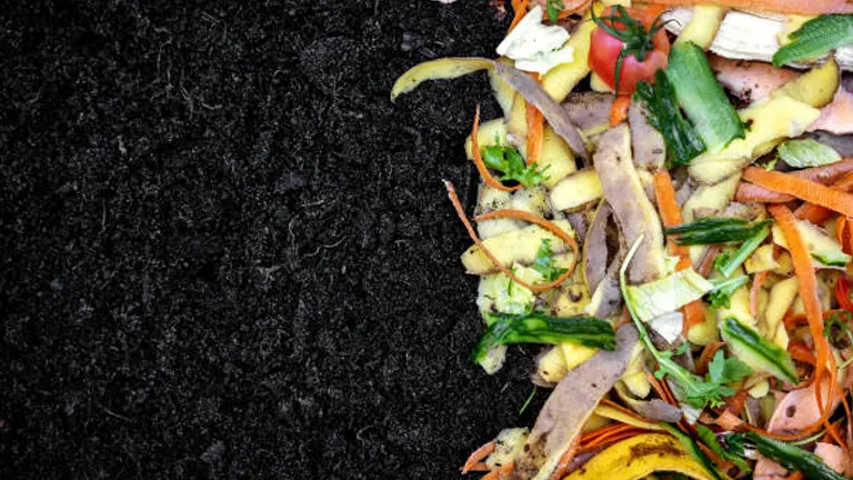 Compost pile with a variety of organic waste including fruit peels, vegetable scraps, and leaves on rich dark soil.