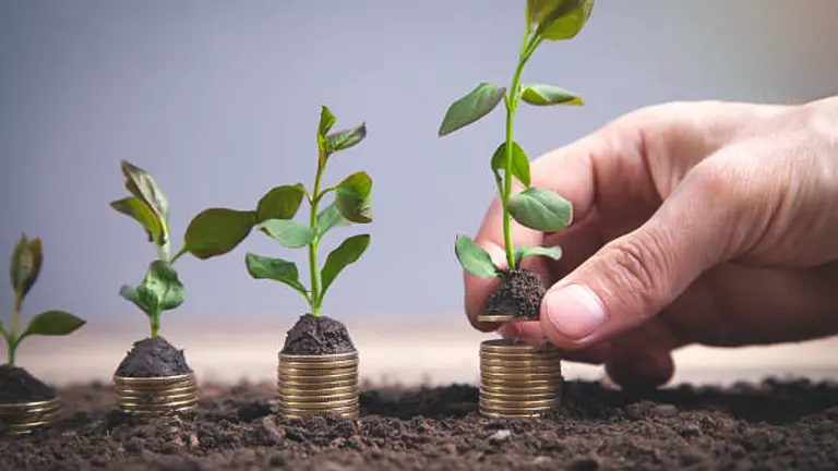 hand planting a small green plant in soil atop a stack of coins, symbolizing growth in long-term investment.