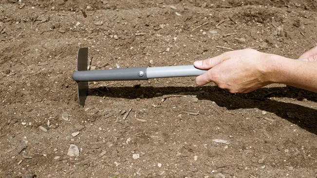 Hand holding a garden hoe to make furrows in soil for carrot seeds