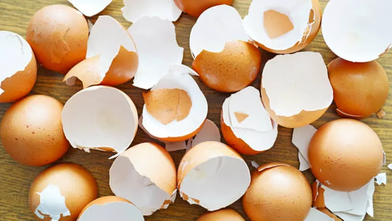 Scattered brown eggshells, some broken into halves, on a wooden surface, suggesting cooking preparation or the aftermath of baking.
