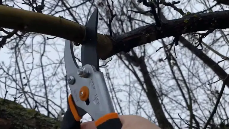 A pair of Fiskars Pruning Shears cutting through a thick branch, held by a hand against a backdrop of bare tree branches.

