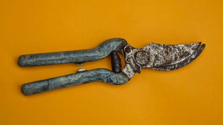 An old, rusty pair of pruning shears with blue handles against an orange background.