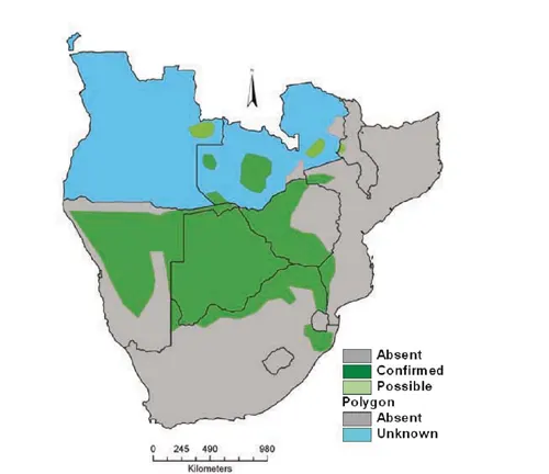 Distribution of Southeast African Cheetah: Found in southeastern Africa, this cheetah species inhabits grasslands and savannas.