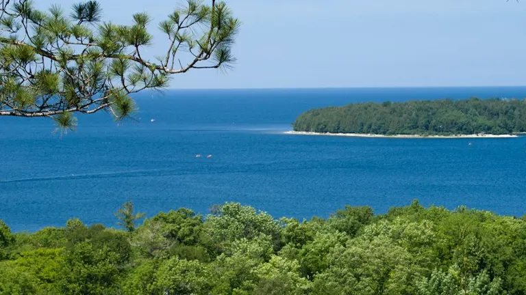 A peaceful coastal scene with a foreground of lush green foliage, a pine branch at the top, overlooking a calm blue lake with a boat creating a wake, and a small forested island in the distance under a clear blue sky.