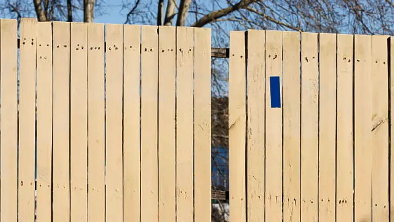 A light wooden fence with vertical planks, one plank marked with a blue stripe, partially obscuring a bare tree and a clear blue sky in the background.