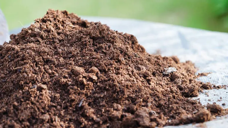 A heap of rich, dark brown organic compost soil on a flat surface, with a blurred green background.