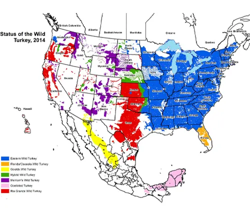 Map displaying states with various snow types, highlighting distribution of Eastern Wild Turkey.