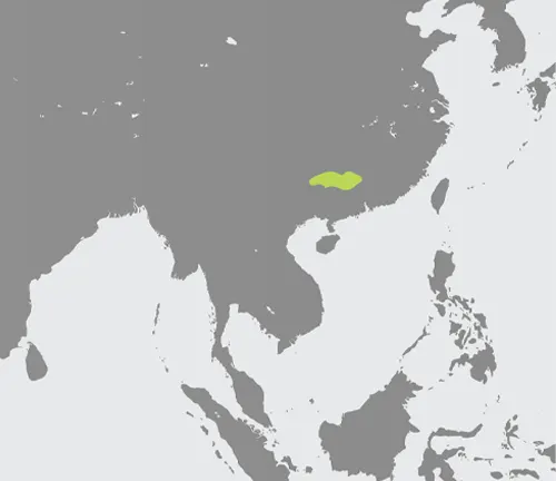 China highlighted in green on a map. Historical range of the South China Tiger.