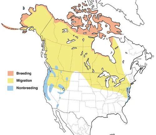  Map of US with Canadian prairies highlighted. Distribution of Tundra Swan shown.