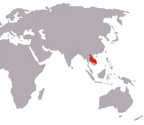 Map of the world highlighting the "Indochinese Tiger" range with a red dot.
