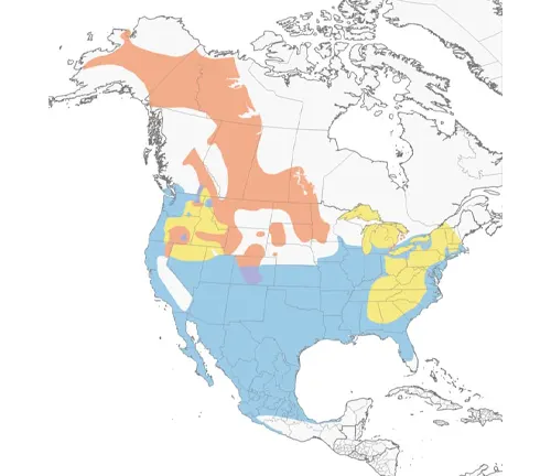  Map of the US showing American bison distribution, along with Canvasback Duck distribution.
