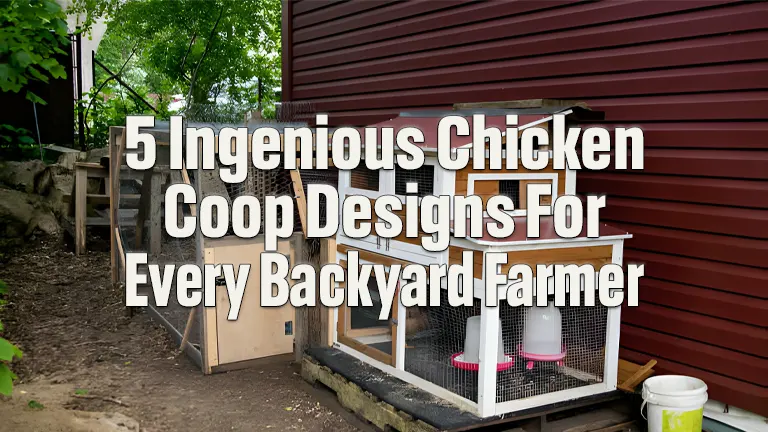 Top 5 Chicken Coop Designs for Backyard Farmers: Ultimate Guide