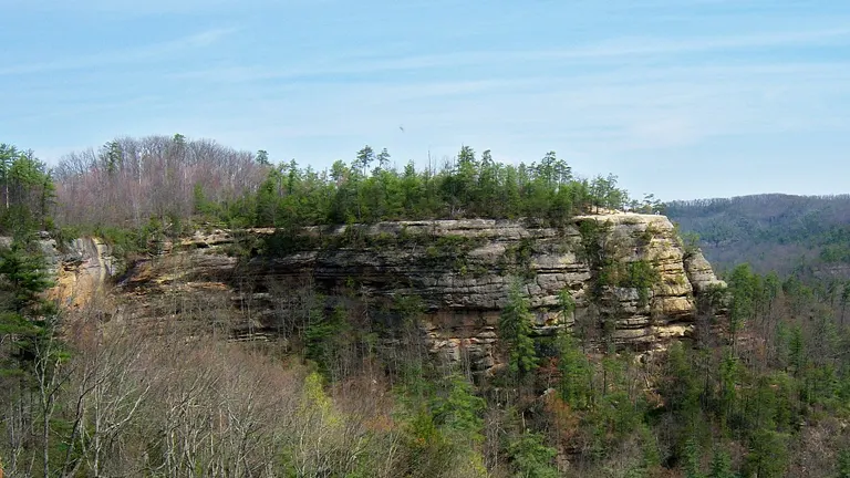 A towering sandstone cliff crowned with evergreen trees rises above a forested valley, under a clear blue sky.