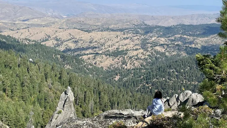 A person sits in contemplation on the edge of a cliff, overlooking a vast expanse of rolling hills and dense coniferous forests under a hazy sky, with the valley stretching into the distance.