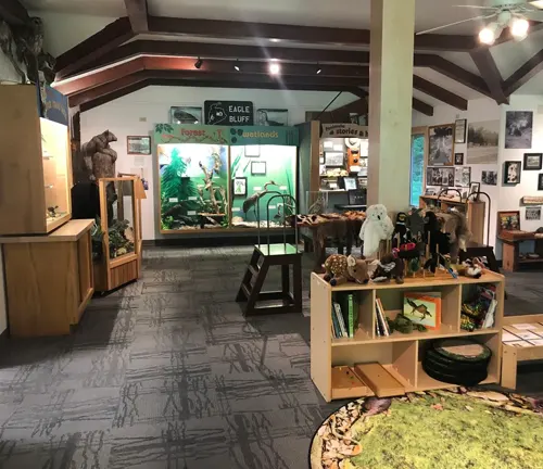 Interior of the White Cedar Nature Center at Peninsula State Park, showcasing educational displays, taxidermy, and interactive exhibits related to the local ecosystem.