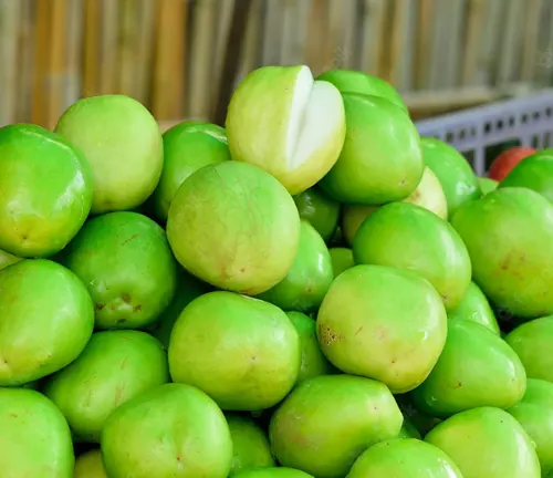 A pile of fresh, green calabash fruits displayed at a market, with one fruit cut open to reveal the white interior.