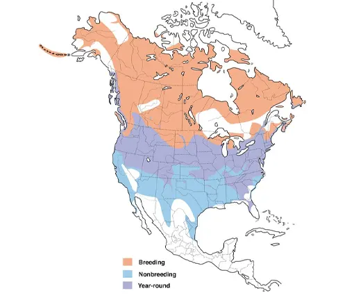 Distribution of wintering areas for "Canada Goose" shown on a map of the United States.