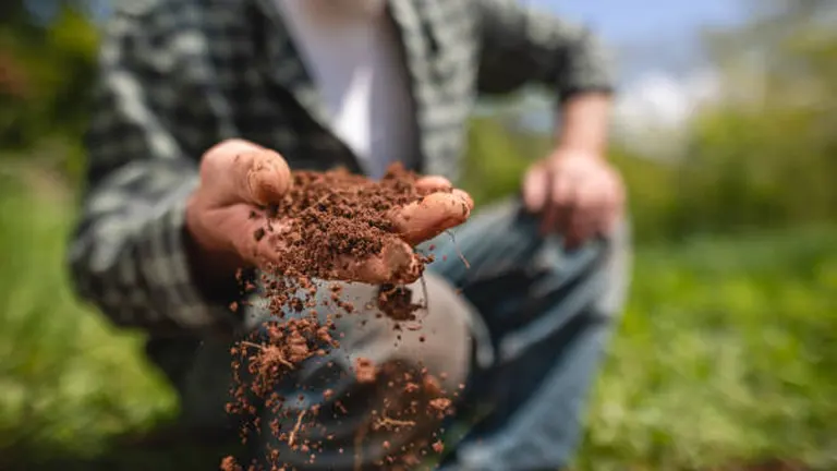 A gardener, out of focus in the background, is sifting rich soil through their hands, symbolizing hands-on agricultural work and the connection to the earth.