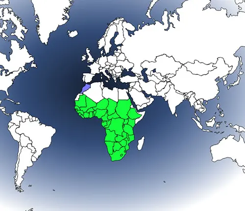 "World map with green and purple colors, indicating distribution of Spur-winged Goose."