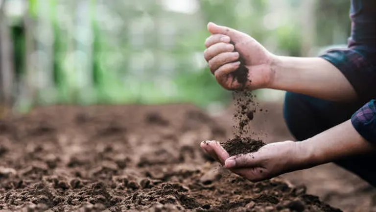 Close-up of hands sifting fertile soil in a garden, with a soft focus on the background.