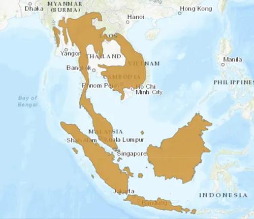 A map of Asia with the country highlighted. Distribution: Sunda Pangolin.