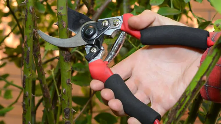 A gardener's hand clad in a red sleeve grips ergonomic red and black pruning shears, ready to trim a rose stem in a lush garden.