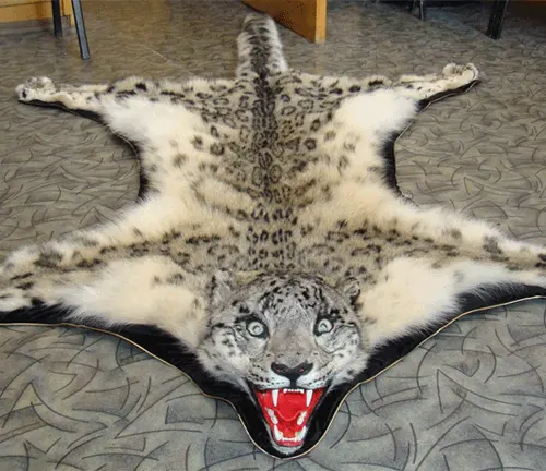 A snow leopard rug on the floor, highlighting the beauty of this endangered species.