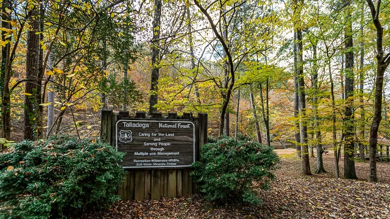 Entrance sign of Talladega National Forest surrounded by lush trees with early fall foliage, indicating the forest's dedication to land care and serving people through multiple-use management.