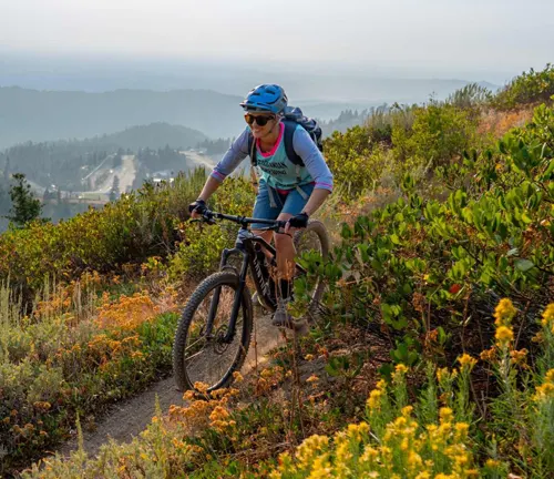 A mountain biker in a blue helmet and gear rides along a scenic trail surrounded by wildflowers, with a hazy mountain landscape stretching into the distance.
