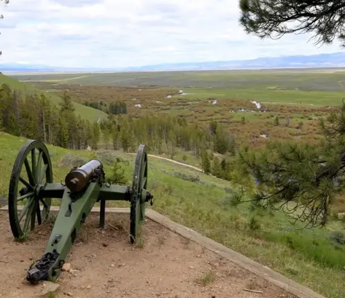 An old cannon overlooking a vast, open landscape with a river winding through the grassy fields, framed by pine trees and an overcast sky.