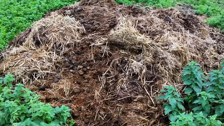 A large compost mound with layers of straw, soil, and manure, surrounded by lush green plants in a garden setting.