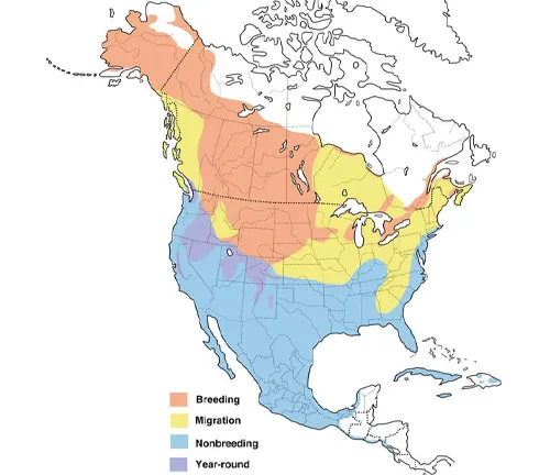 Map of North America displaying boreal forest distribution, including the range of the Northern Shoveler.