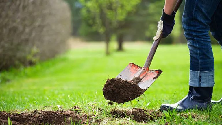 Person in jeans and garden gloves digging soil with a spade in a green field, with a line of trees in the background.