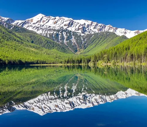 Mirror-like lake reflecting a forest and snow-capped mountains under a clear blue sky.