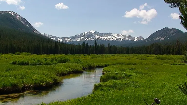A serene landscape featuring a meandering stream amidst lush green meadows with a backdrop of majestic mountains partially capped with snow under a clear blue sky.
