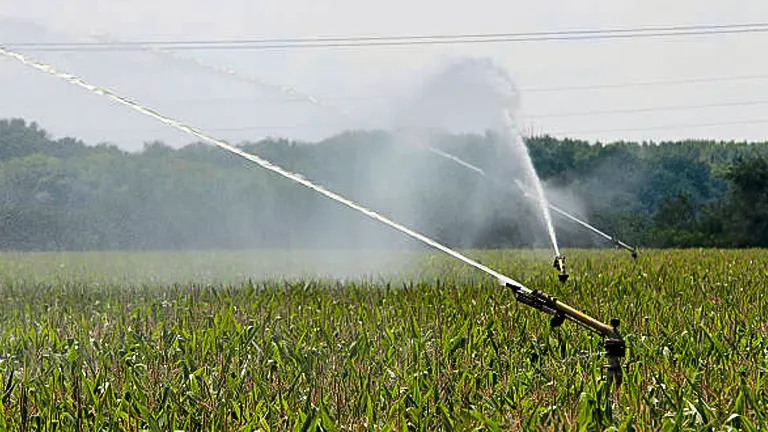 Irrigation system spraying water over a cornfield with a misty effect against a backdrop of trees.