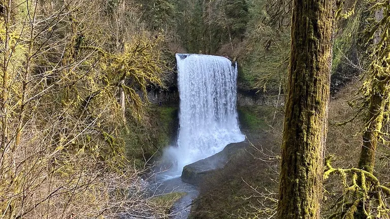 The Importance of Conservation and Recreation in Silver Falls State Park