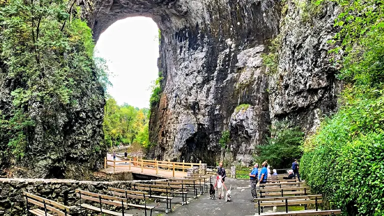Visitors walking on a pathway through the immense Natural Bridge with lush greenery, with rows of benches alongside for viewing.