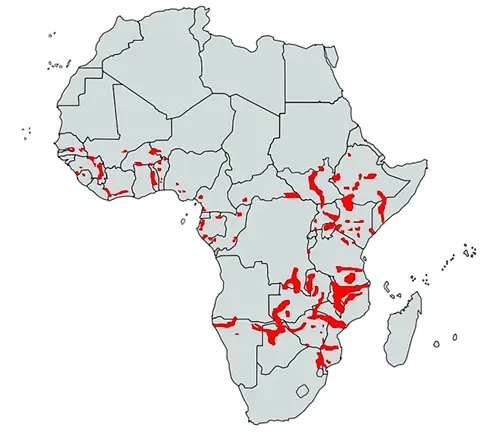 Africa map showing distribution of red & black dots. Habitat range includes "Hippopotamus".