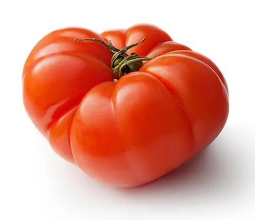 A single, ripe, red heirloom tomato with a plump and ribbed surface, isolated on a white background.