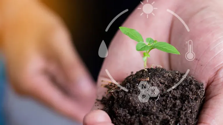 Hands cradling a small seedling and soil with icons symbolizing sun, water, and temperature, plus the letters N, P, K representing nutrients needed for plant growth.