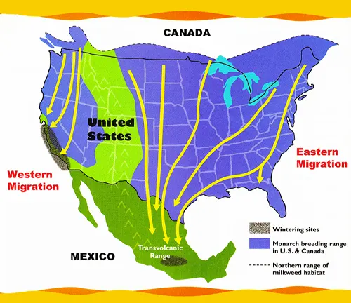 Map showing USA and Canada, native range of the Monarch Butterfly.
