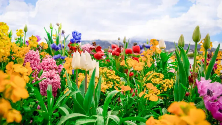 A vibrant array of colorful flowers in full bloom, set against a backdrop of a cloudy sky, showcasing the diversity and beauty of a well-tended flower garden.

