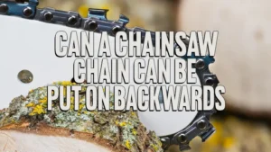 Can a Chainsaw Chain Be Put on Backwards?