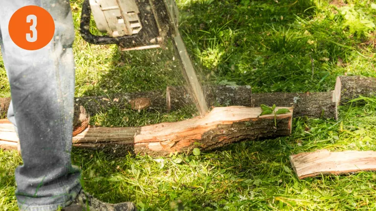person cutting a log with a chainsaw outdoors