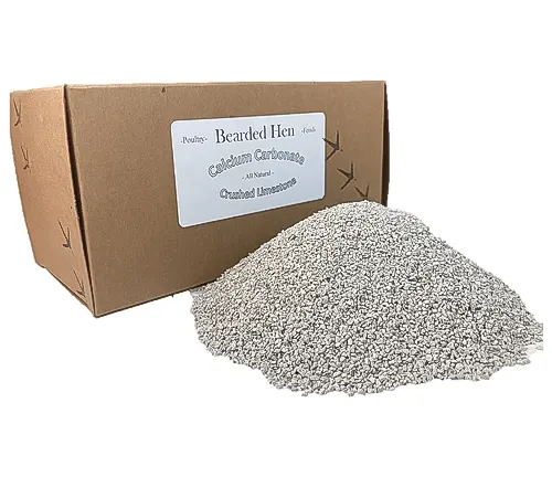 Bearded Hen Poultry Fowl Calcium Carbonate