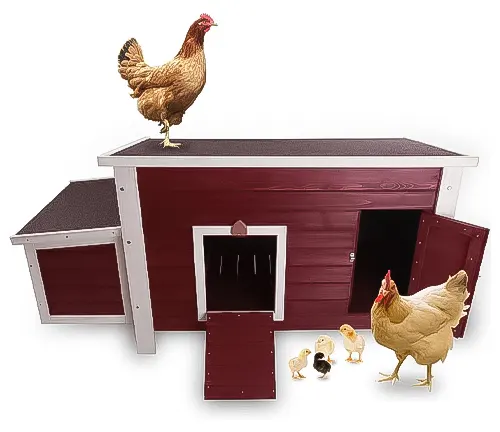 Petsfit Chicken Coop with Nesting Box