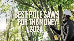 Best Pole Saws for the Money 2024